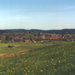 Landschaft