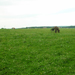 Landschaft