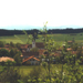 Landschaft