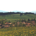 Landschaft